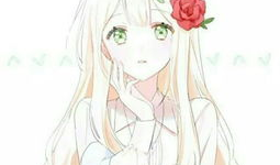 可爱的动漫,探寻动漫世界的甜蜜奥秘