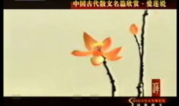 爱莲说朗诵视频,爱莲说朗诵视频赏析